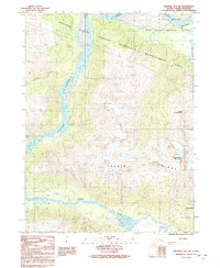 Download a high-resolution, GPS-compatible USGS topo map for Skagway B-3 SW, AK (1991 edition)