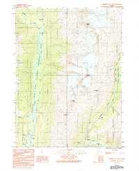 Download a high-resolution, GPS-compatible USGS topo map for Skagway C-1 SW, AK (1991 edition)