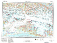 Topo map Bering Glacier Alaska
