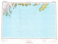 Download a high-resolution, GPS-compatible USGS topo map for Blying Sound, AK (1965 edition)
