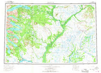 Topo map Dillingham Alaska