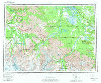 Download a high-resolution, GPS-compatible USGS topo map for Nabesna, AK (1982 edition)