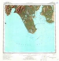 Download a high-resolution, GPS-compatible USGS topo map for Nushagak Bay, AK (1965 edition)