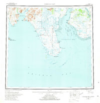Download a high-resolution, GPS-compatible USGS topo map for Nushagak Bay, AK (1975 edition)