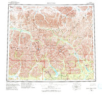 Download a high-resolution, GPS-compatible USGS topo map for Survey Pass, AK (1994 edition)