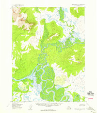 Topo map Ambler River A-4 Alaska