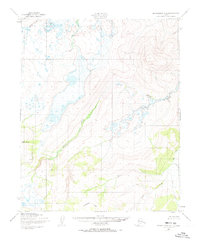 Download a high-resolution, GPS-compatible USGS topo map for Bendeleben C-2, AK (1973 edition)