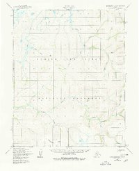 Download a high-resolution, GPS-compatible USGS topo map for Bendeleben D-4, AK (1980 edition)