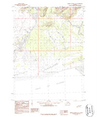 Download a high-resolution, GPS-compatible USGS topo map for Bering Glacier A-4, AK (1987 edition)
