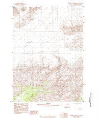 preview thumbnail of historical topo map of Yakutat County, AK in 1985