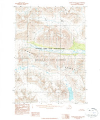 Download a high-resolution, GPS-compatible USGS topo map for Bering Glacier D-6, AK (1984 edition)