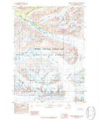 Topo map Bering Glacier D-7 Alaska