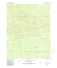 Topo map Bettles D-5 Alaska