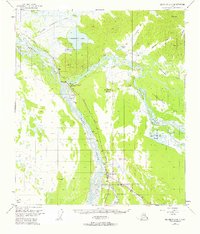 Download a high-resolution, GPS-compatible USGS topo map for Big Delta A-4, AK (1963 edition)