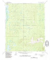 preview thumbnail of historical topo map of Yukon-Koyukuk County, AK in 1984