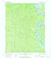 Topo map Black River B-4 Alaska