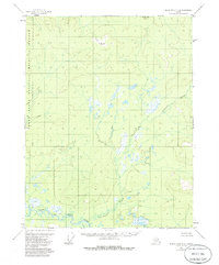 Topo map Black River C-2 Alaska
