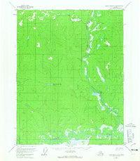 Download a high-resolution, GPS-compatible USGS topo map for Black River C-3, AK (1965 edition)