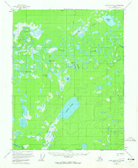 Download a high-resolution, GPS-compatible USGS topo map for Black River C-6, AK (1965 edition)