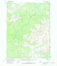 Topo map Black River D-1 Alaska