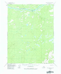 Download a high-resolution, GPS-compatible USGS topo map for Black River D-4, AK (1984 edition)