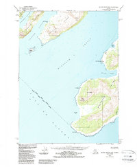 Download a high-resolution, GPS-compatible USGS topo map for Blying Sound D-3, AK (1988 edition)