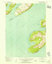 Download a high-resolution, GPS-compatible USGS topo map for Blying Sound D-3, AK (1954 edition)