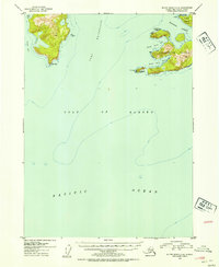 Download a high-resolution, GPS-compatible USGS topo map for Blying Sound D-4, AK (1954 edition)