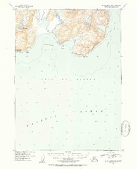 Topo map Blying Sound D-5 Alaska