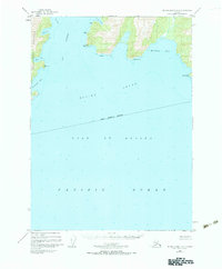 Topo map Blying Sound D-6 Alaska