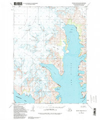 Topo map Blying Sound D-8 Alaska