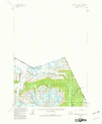 Topo map Bradfield Canal A-1 Alaska