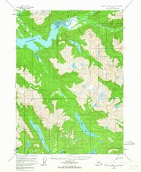 Download a high-resolution, GPS-compatible USGS topo map for Bradfield Canal A-5, AK (1964 edition)