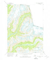 Topo map Bradfield canal A-2 Alaska