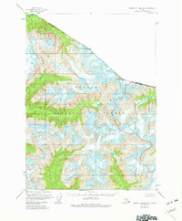 Topo map Bradfield canal B-4 Alaska