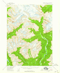 Topo map Bradfield canal B-5 Alaska