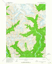 Download a high-resolution, GPS-compatible USGS topo map for Bradfield canal B-5, AK (1964 edition)