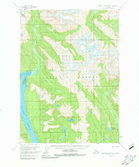 Topo map Bradfield canal B-6 Alaska