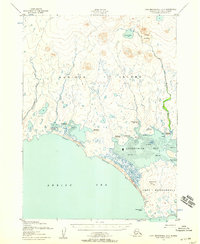 Topo map Cape Mendenhall D-4 Alaska