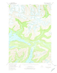 Download a high-resolution, GPS-compatible USGS topo map for Cordova D-6, AK (1974 edition)