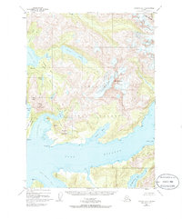 preview thumbnail of historical topo map of Alaska, United States in 1950