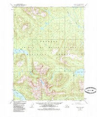 Topo map Craig C-3 Alaska