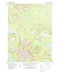 Download a high-resolution, GPS-compatible USGS topo map for Craig C-3, AK (1983 edition)