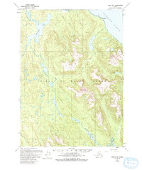Topo map Craig D-3 Alaska