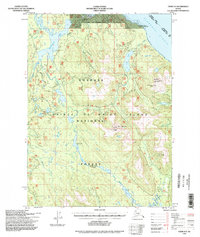preview thumbnail of historical topo map of Prince of Wales-Hyder County, AK in 1994
