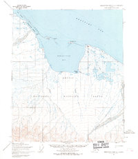 Topo map Demarcation Point C-1 Alaska
