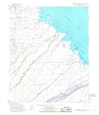 Topo map Demarcation Point D-3 Alaska