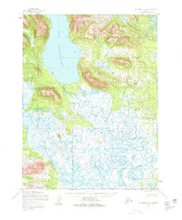 Topo map Dillingham A-8 Alaska
