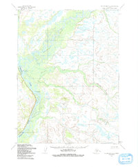 Topo map Dillingham C-3 Alaska