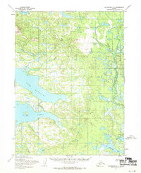Topo map Dillingham C-7 Alaska